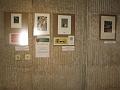 IMG_5785